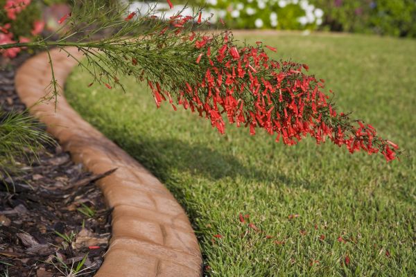 Brick Edging in Denver