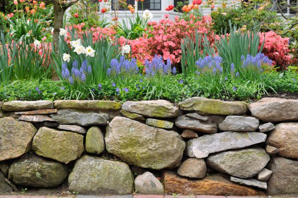 Stone Wall Hardscaping in Denver