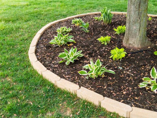 Stone Border Installation in Denver