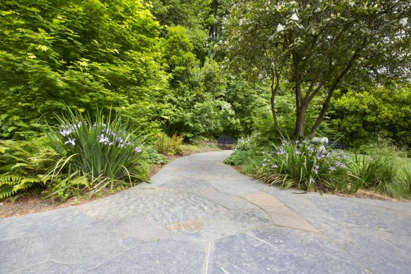 Stone Hardscape Service in Denver